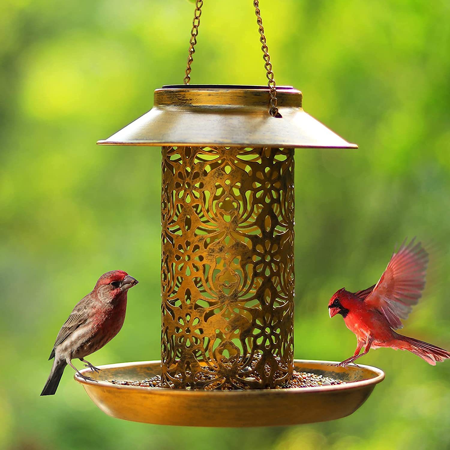 Hanging Bird House Metal Outdo - огляд і ціна Outdoor Lighting Ideas For House